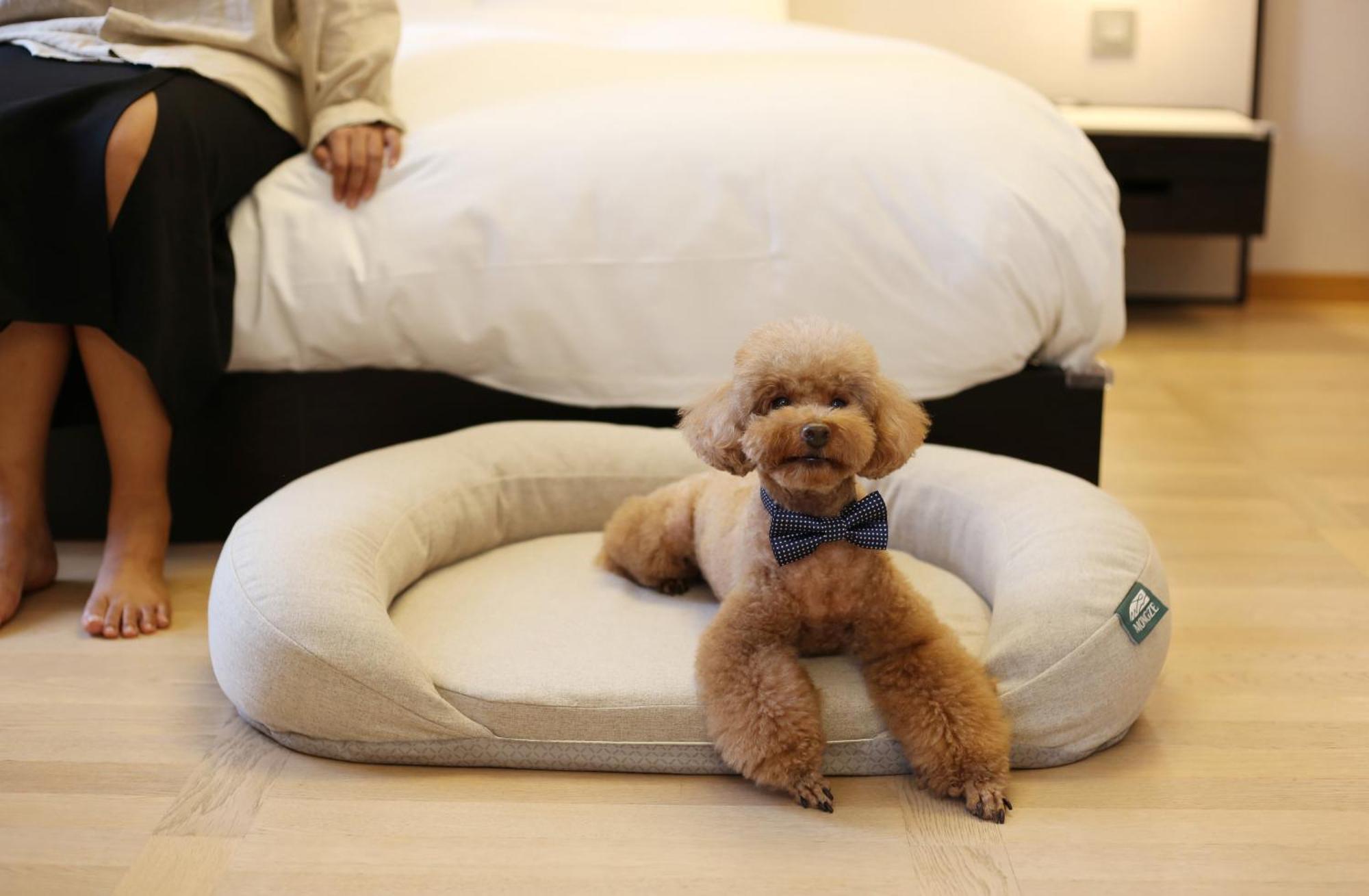 Maison Glad Jeju Bagian luar foto