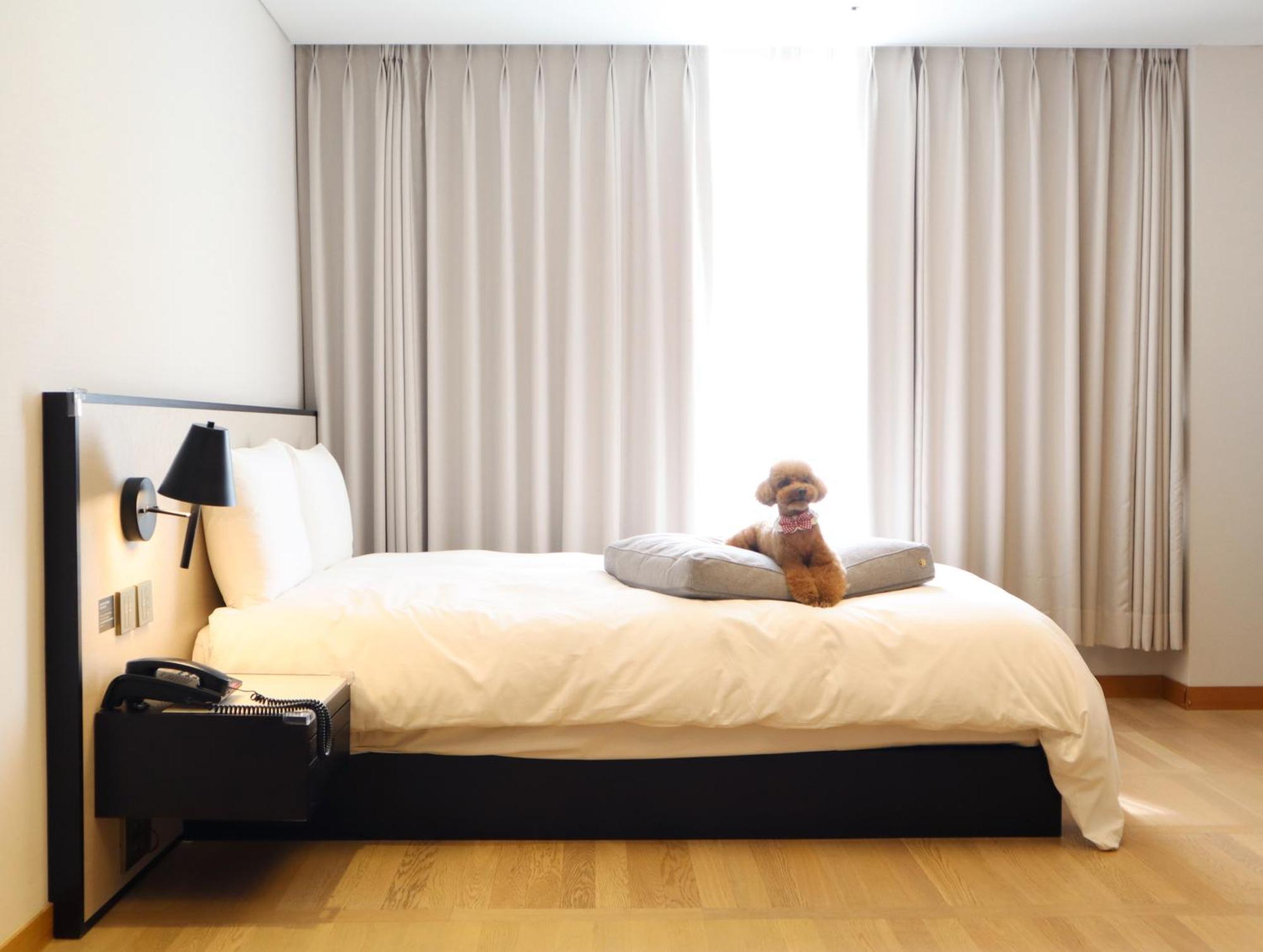 Maison Glad Jeju Bagian luar foto