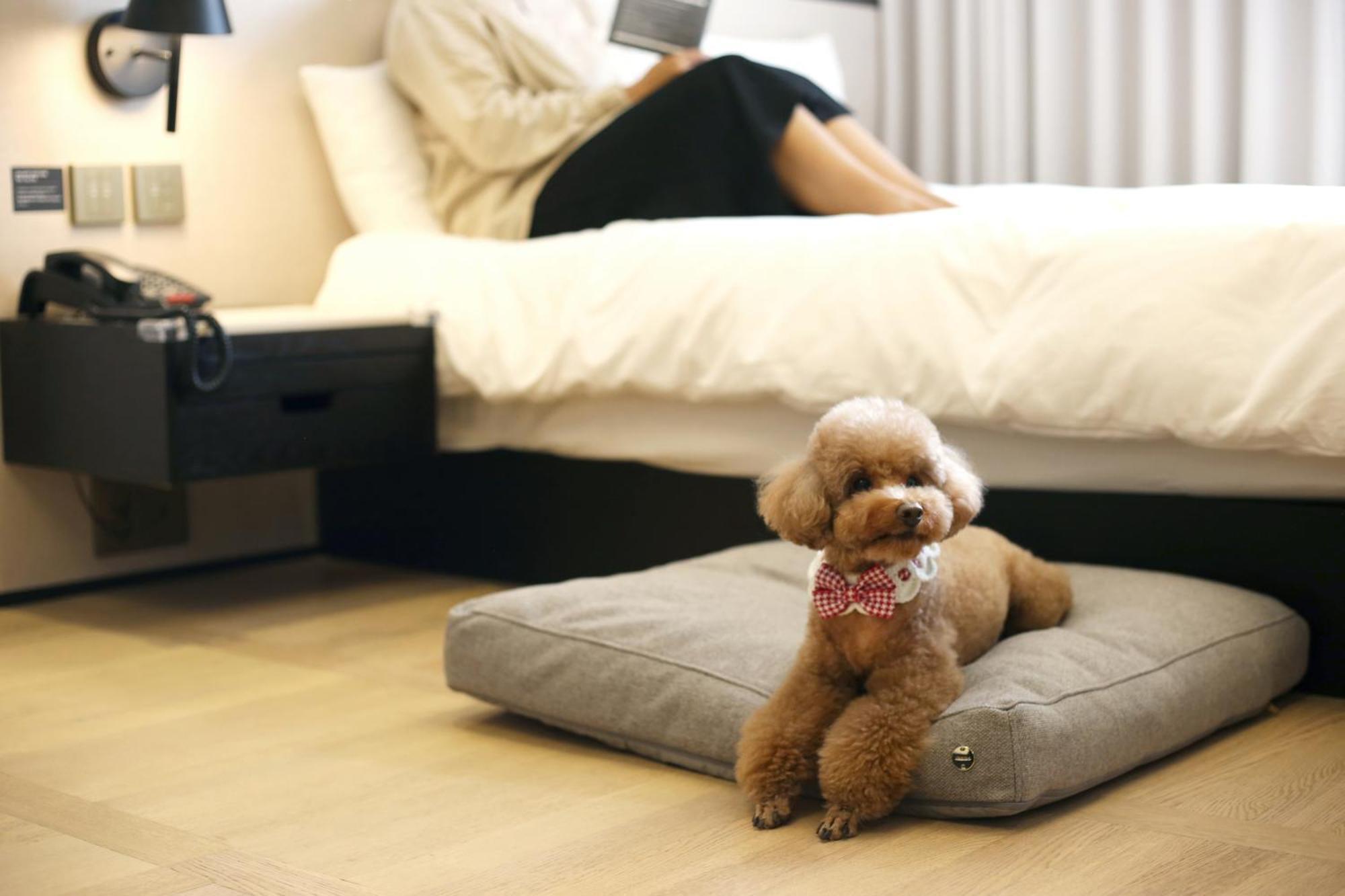Maison Glad Jeju Bagian luar foto