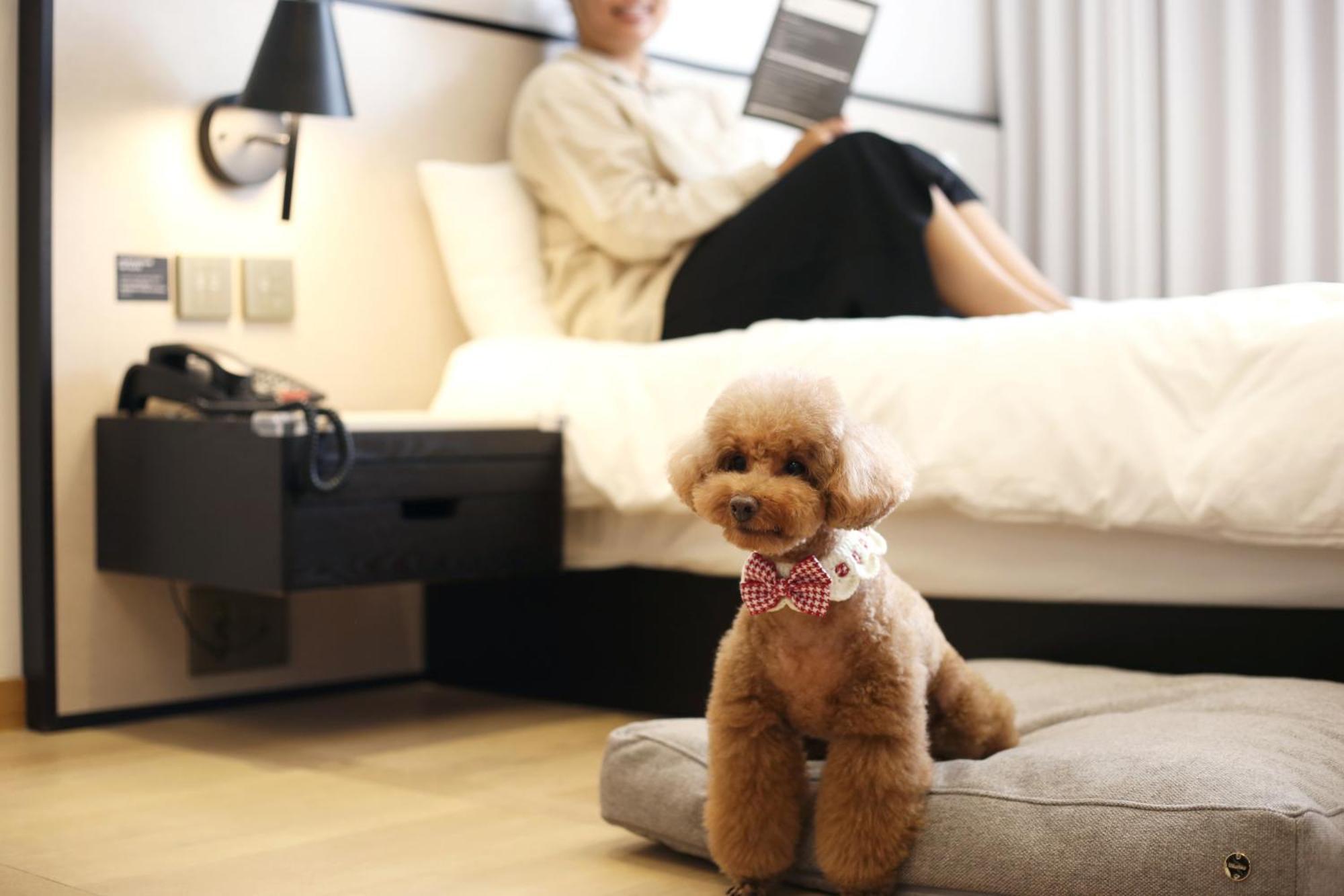 Maison Glad Jeju Bagian luar foto