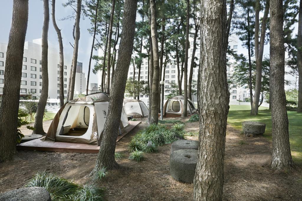 Maison Glad Jeju Bagian luar foto